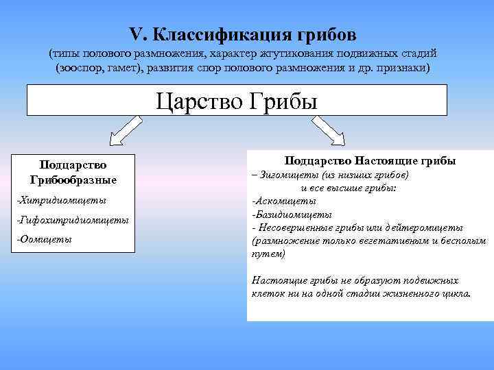     V. Классификация грибов (типы полового размножения, характер жгутикования подвижных стадий
