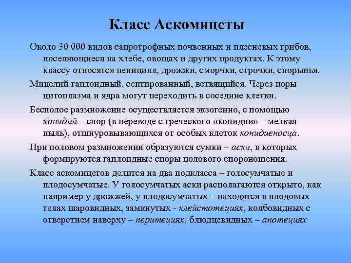    Класс Аскомицеты Около 30 000 видов сапротрофных почвенных и плесневых грибов,