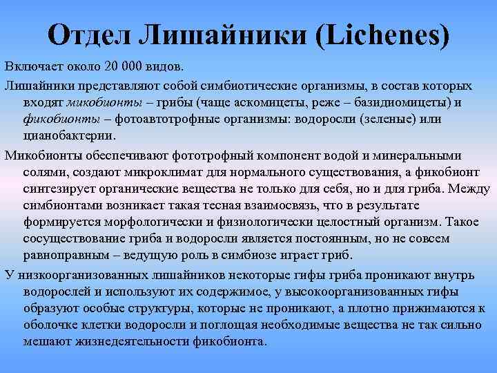  Отдел Лишайники (Lichenes) Включает около 20 000 видов.  Лишайники представляют собой симбиотические