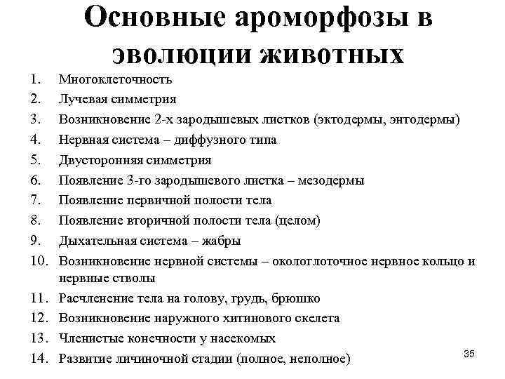 Основные ароморфозы в эволюции животных 1. Многоклеточность 2. Лучевая симметрия Основные ароморфозы в эволюции животных 1. Многоклеточность 2. Лучевая симметрия