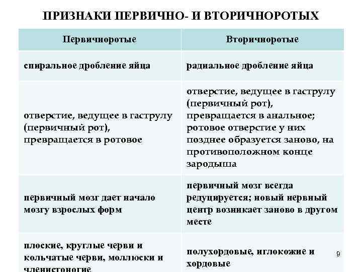 ПРИЗНАКИ ПЕРВИЧНО- И ВТОРИЧНОРОТЫХ Первичноротые Вторичноротые спиральное дробление ПРИЗНАКИ ПЕРВИЧНО- И ВТОРИЧНОРОТЫХ Первичноротые Вторичноротые спиральное дробление