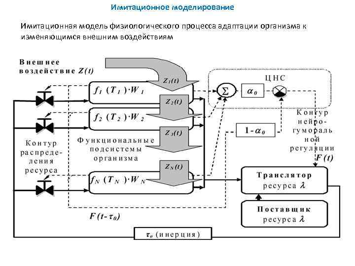 Имитационное моделирование сети. Имитационная модель. Имитационное моделирование. Математическое и имитационное моделирование. Имитационная модель системы.