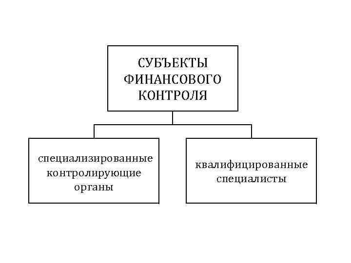    СУБЪЕКТЫ   ФИНАНСОВОГО    КОНТРОЛЯ  специализированные 