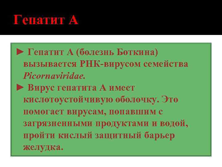 Гепатит А ► Гепатит А (болезнь Боткина) вызывается РНК-вирусом семейства Picornaviridae. ► Вирус гепатита