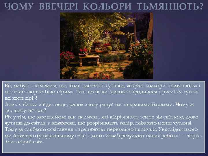 ЧОМУ ВВЕЧЕРІ КОЛЬОРИ ТЬМЯНІЮТЬ? Ви, мабуть, помічали, що, коли настають сутінки, яскраві кольори «тьмяніють»