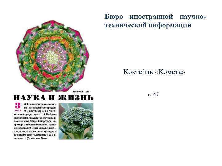 Бюро иностранной научно- технической информации   Коктейль «Комета»   с. 47 