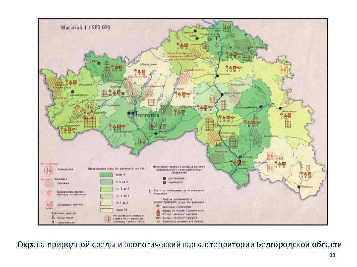 Охрана природной среды и экологический каркас территории Белгородской области     