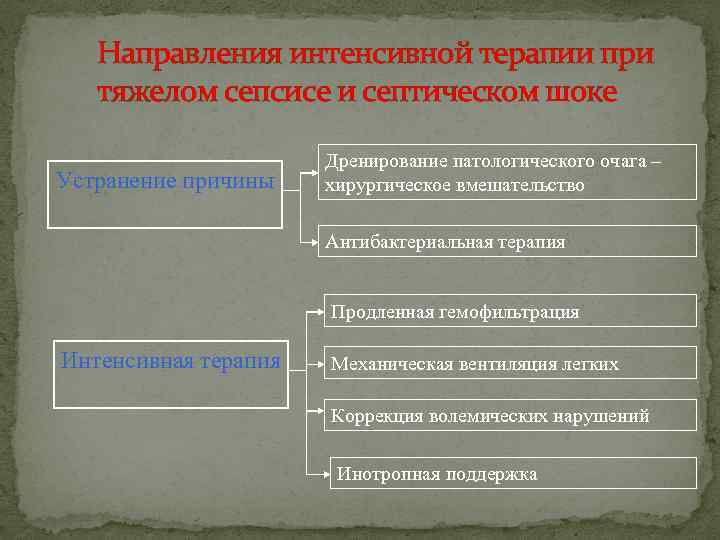   Направления интенсивной терапии при  тяжелом сепсисе и септическом шоке  