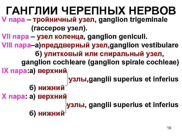  ГАНГЛИИ ЧЕРЕПНЫХ НЕРВОВ V пара – тройничный узел, ganglion trigeminale   (гассеров