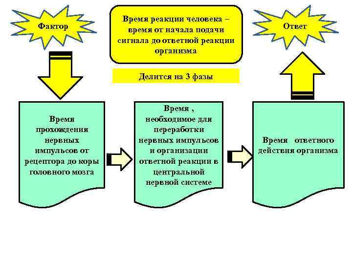      Время реакции человека – Фактор   время от