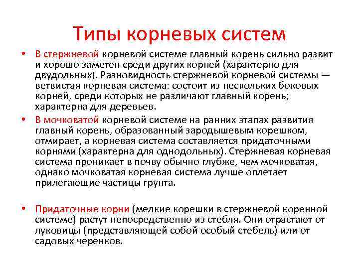    Типы корневых систем • В стержневой корневой системе главный корень сильно