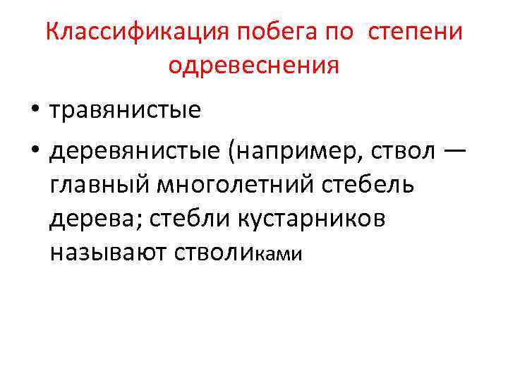  Классификация побега по степени  одревеснения • травянистые • деревянистые (например, ствол —