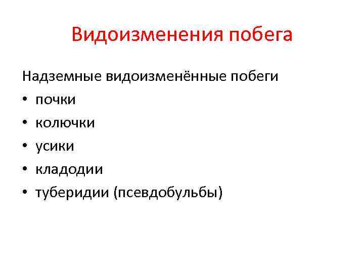  Видоизменения побега Надземные видоизменённые побеги • почки • колючки • усики • кладодии