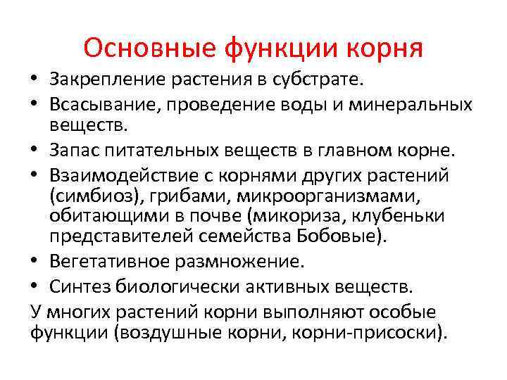  Основные функции корня • Закрепление растения в субстрате.  • Всасывание, проведение воды