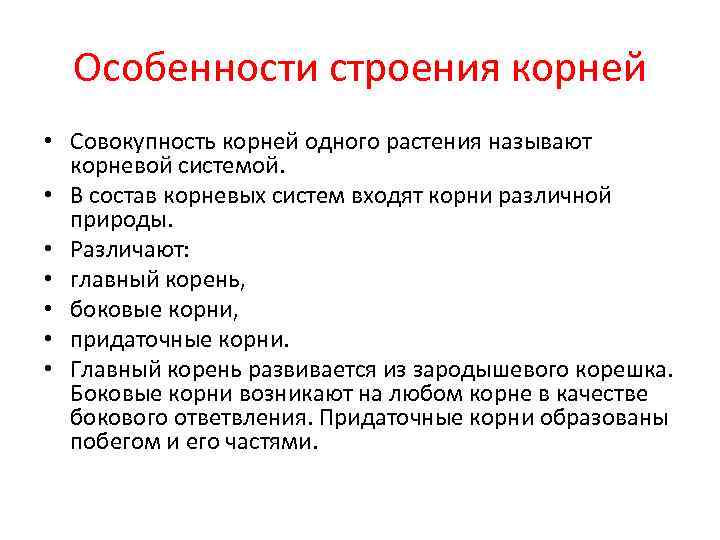  Особенности строения корней • Совокупность корней одного растения называют  корневой системой. 
