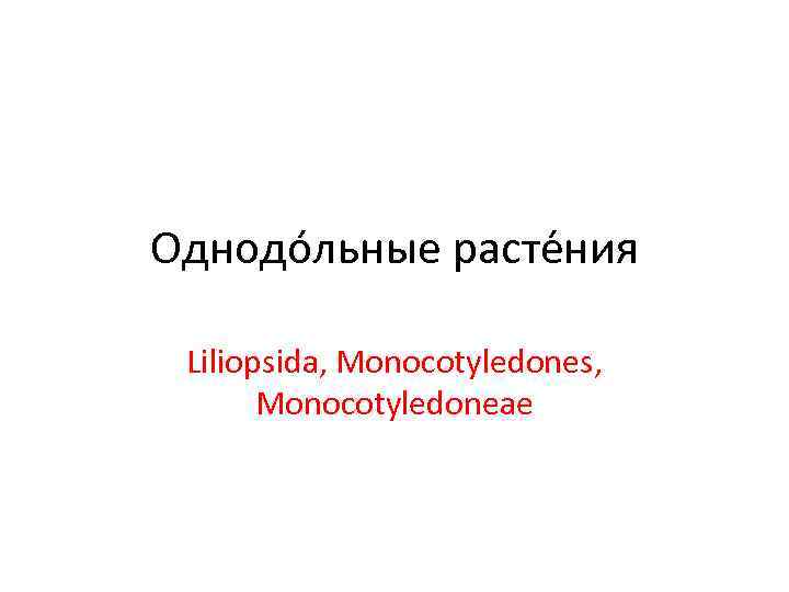 Однодо льные расте ния  Liliopsida, Monocotyledones,   Monocotyledoneae 