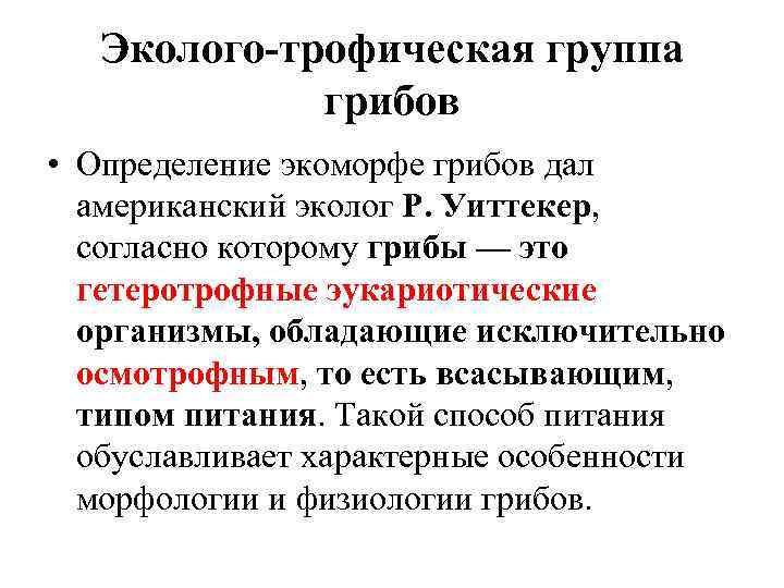   Эколого-трофическая группа    грибов • Определение экоморфе грибов дал 