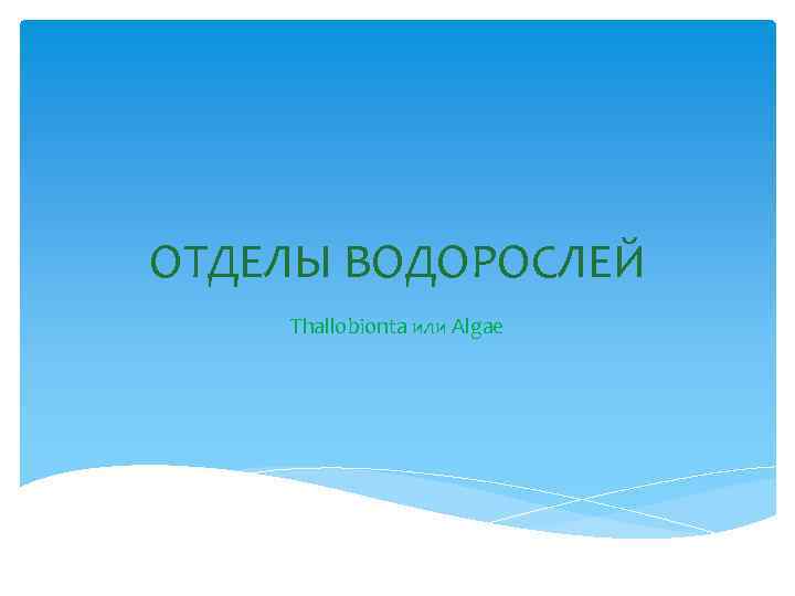 ОТДЕЛЫ ВОДОРОСЛЕЙ Thallobionta или Algae 