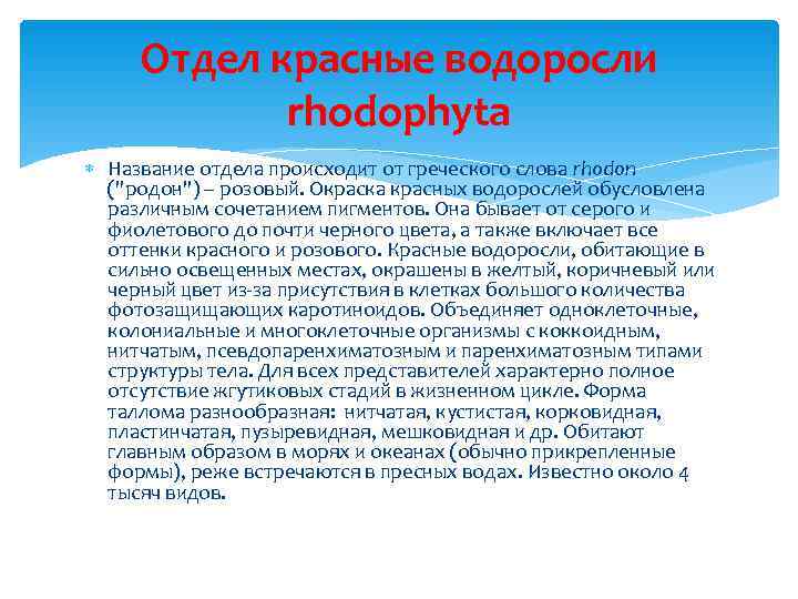  Отдел красные водоросли   rhodophyta  Название отдела происходит от греческого слова