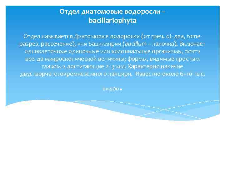    Отдел диатомовые водоросли –    bacillariophyta  Отдел называется