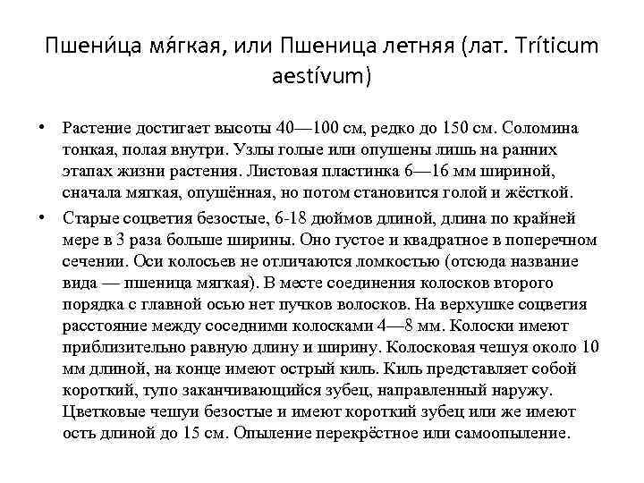 Пшени ца мя гкая, или Пшеница летняя (лат. Tríticum     aestívum)