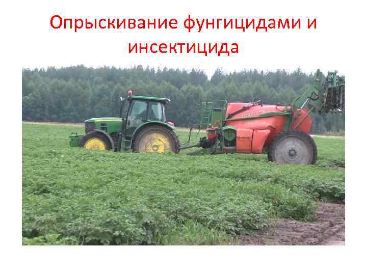 Опрыскивание фунгицидами и  инсектицида 