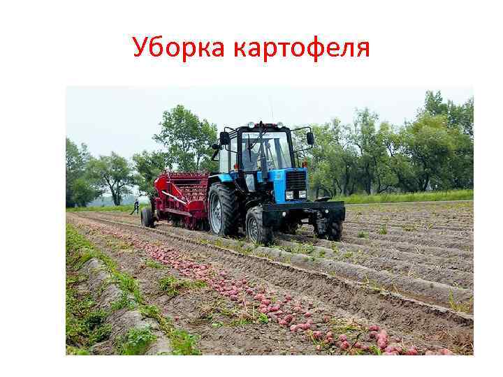 Уборка картофеля 