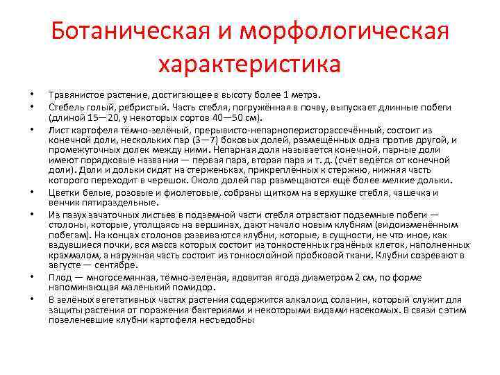   Ботаническая и морфологическая   характеристика •  Травянистое растение, достигающее в