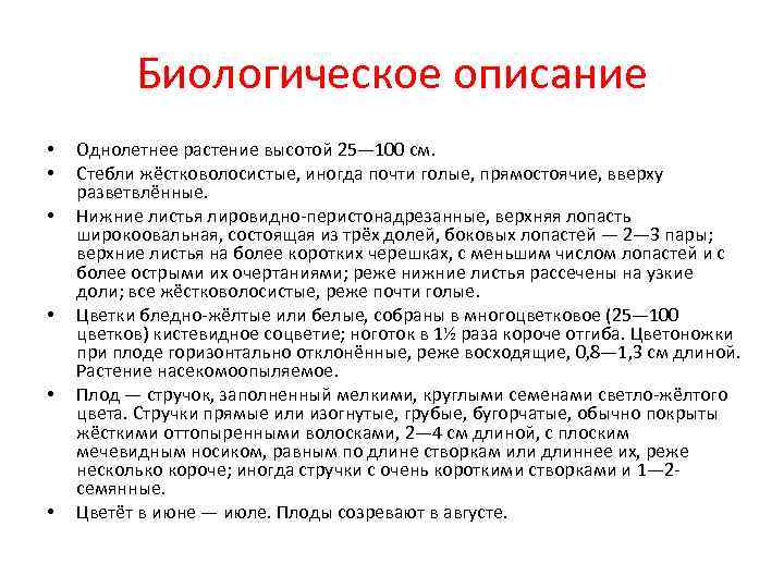Биологическое описание • Однолетнее растение высотой 25— 100 см. Биологическое описание • Однолетнее растение высотой 25— 100 см.