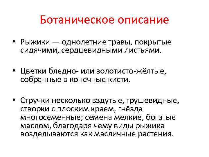 Ботаническое описание • Рыжики — однолетние травы, покрытые сидячими, сердцевидными листьями. Ботаническое описание • Рыжики — однолетние травы, покрытые сидячими, сердцевидными листьями.