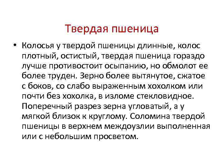   Твердая пшеница • Колосья у твердой пшеницы длинные, колос  плотный, остистый,