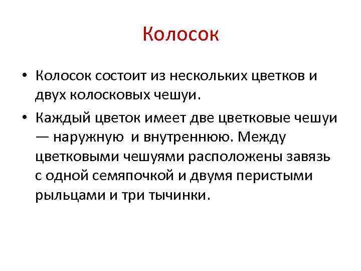     Колосок • Колосок состоит из нескольких цветков и  двух
