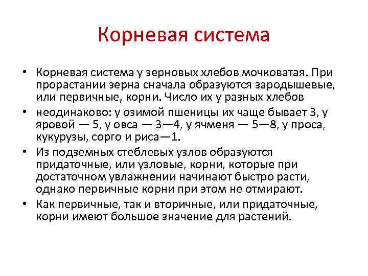   Корневая система • Корневая система у зерновых хлебов мочковатая. При  прорастании