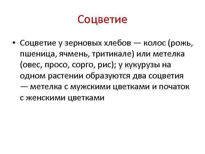     Соцветие • Соцветие у зерновых хлебов — колос (рожь, пшеница,