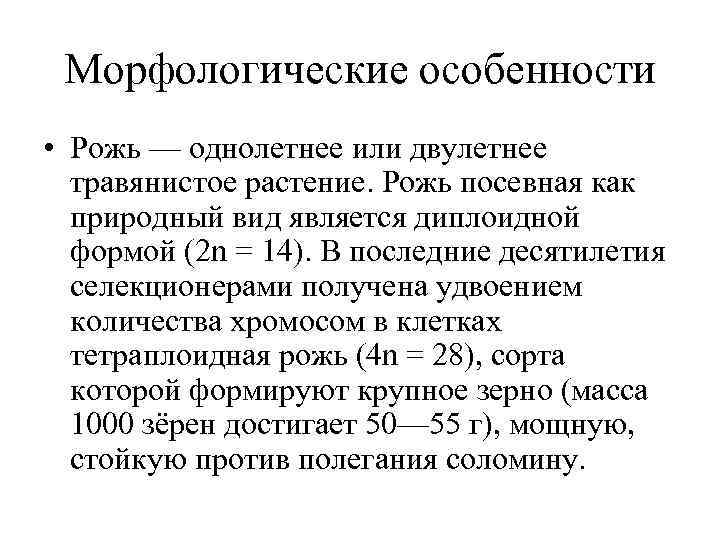 Морфологические особенности • Рожь — однолетнее или двулетнее травянистое растение. Рожь посевная Морфологические особенности • Рожь — однолетнее или двулетнее травянистое растение. Рожь посевная