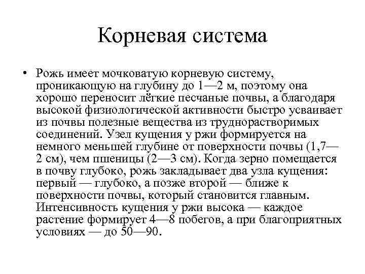 Корневая система • Рожь имеет мочковатую корневую систему, проникающую на глубину Корневая система • Рожь имеет мочковатую корневую систему, проникающую на глубину