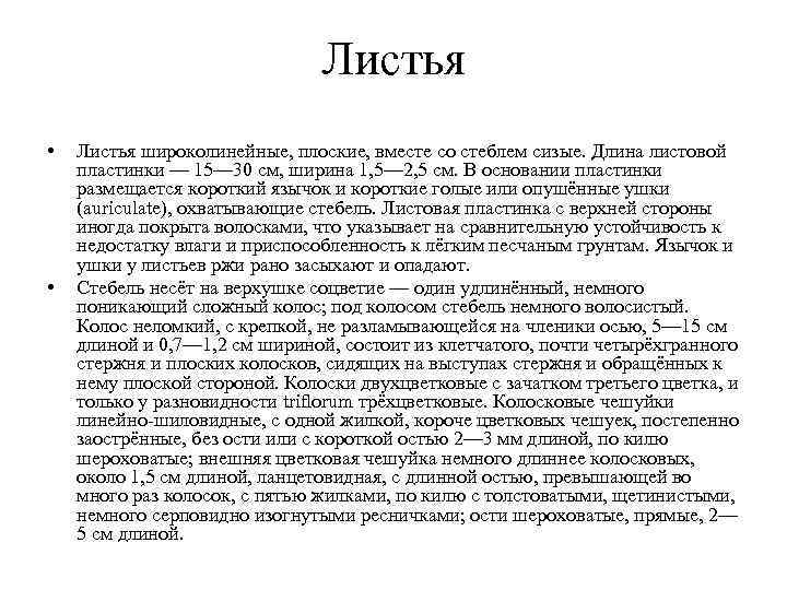 Листья • Листья широколинейные, плоские, вместе со Листья • Листья широколинейные, плоские, вместе со