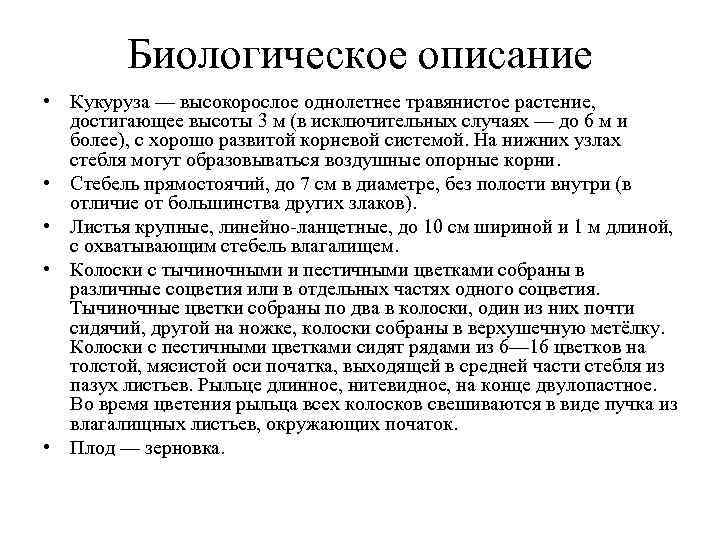 Биологическое описание • Кукуруза — высокорослое однолетнее травянистое растение, достигающее высоты Биологическое описание • Кукуруза — высокорослое однолетнее травянистое растение, достигающее высоты