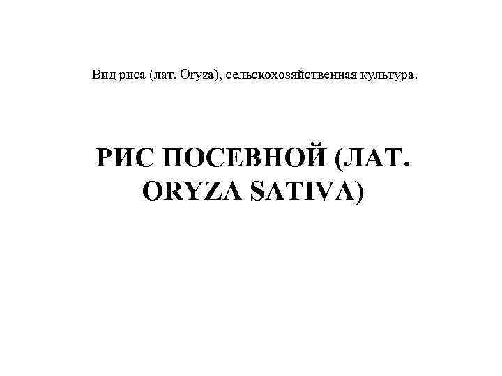 Вид риса (лат. Oryza), сельскохозяйственная культура. РИС ПОСЕВНОЙ (ЛАТ. ORYZA SATIVA) Вид риса (лат. Oryza), сельскохозяйственная культура. РИС ПОСЕВНОЙ (ЛАТ. ORYZA SATIVA)
