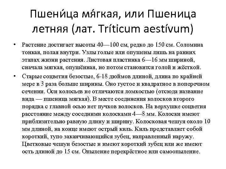 Пшени ца мя гкая, или Пшеница летняя (лат. Tríticum aestívum) • Растение достигает Пшени ца мя гкая, или Пшеница летняя (лат. Tríticum aestívum) • Растение достигает