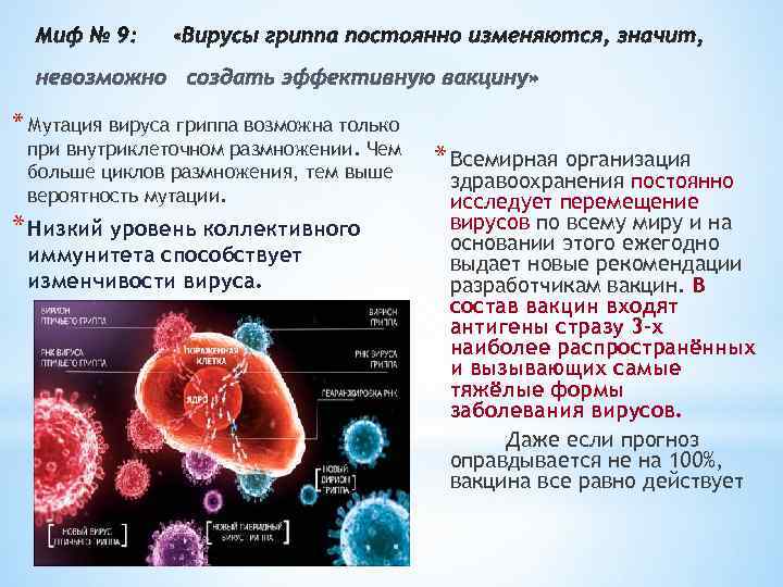 * Мутация вируса гриппа возможна только при внутриклеточном размножении. Чем больше циклов размножения, тем