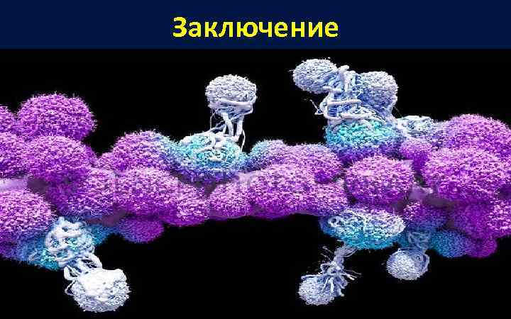 Заключение 