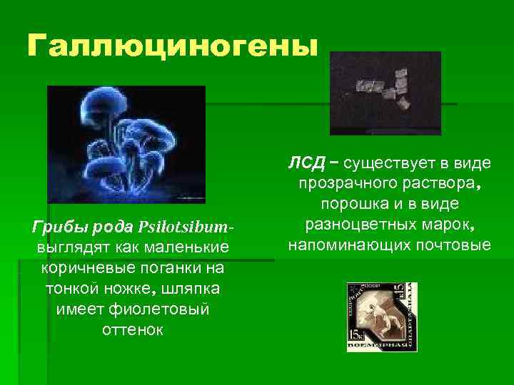 Галлюциногены     ЛСД – существует в виде    