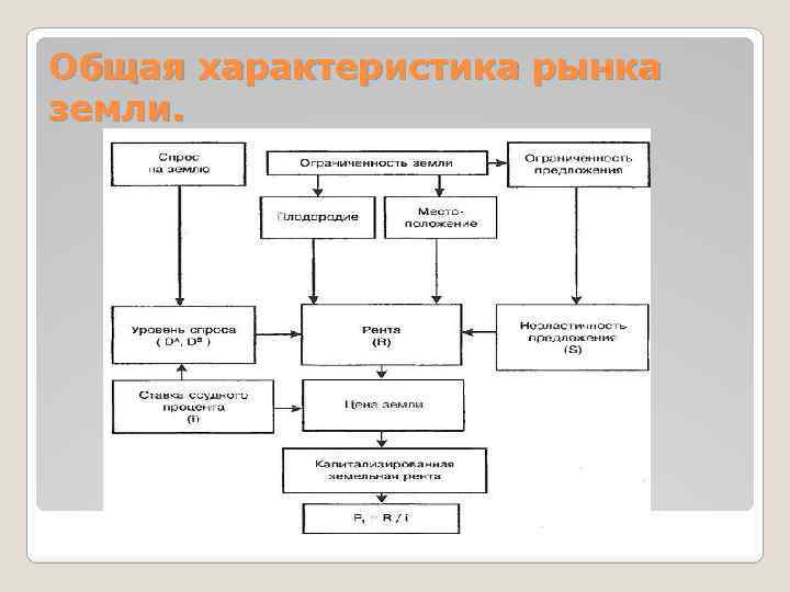 Общая характеристика рынка земли. 