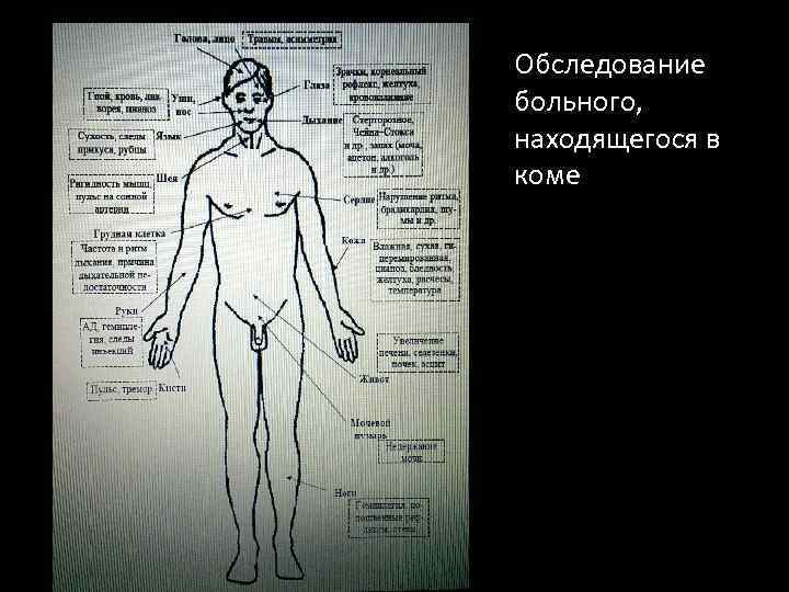 Обследование больного, находящегося в коме 