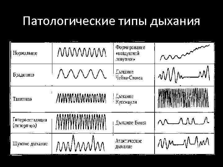 Патологические типы дыхания 