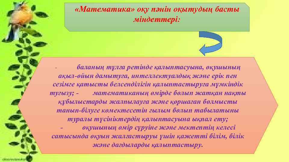  «Математика» оқу пәнін оқытудың басты міндеттері: баланың тұлға ретінде қалыптасуына, оқушының ақыл-ойын дамытуға,
