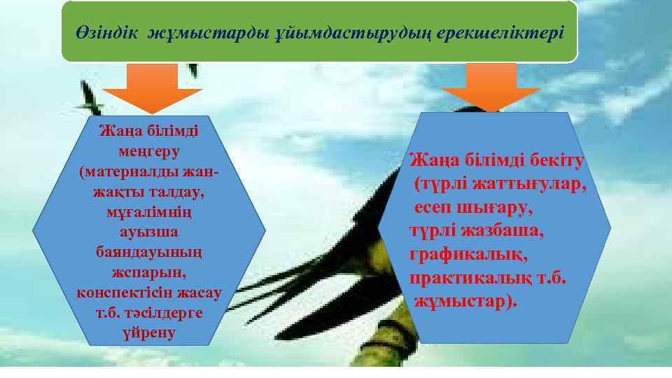 Өзіндік жұмыстарды ұйымдастырудың ерекшеліктері Жаңа білімді меңгеру (материалды жанжақты талдау, мұғалімнің ауызша баяндауының жспарын,