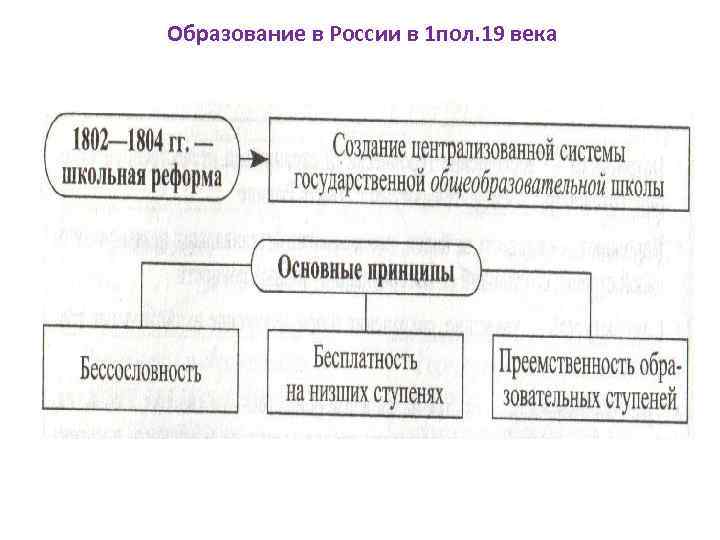 Образование в России в 1 пол. 19 века 