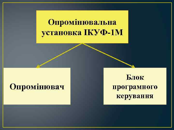 Опромінювальна установка ІКУФ-1 М Опромінювач Блок програмного керування 